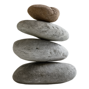 Health, Wellness & Movement